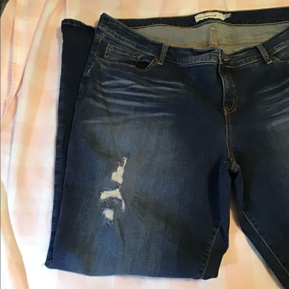 torrid Denim - Torrid bootcut jeans denim plus 22